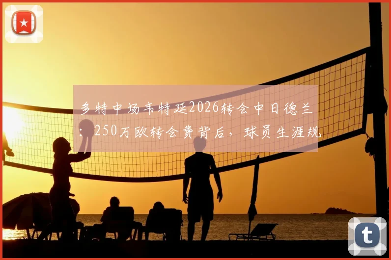 多特中场韦特延2026转会中日德兰:250万欧转会费背后,球员生涯规划解析与前景展望