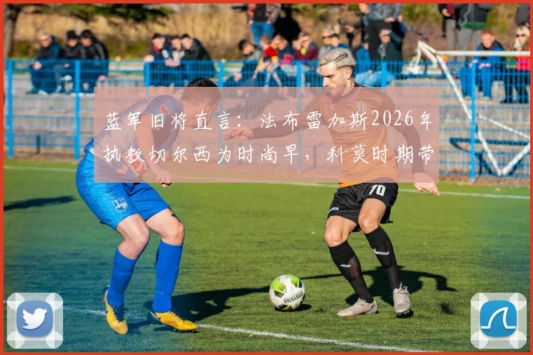 蓝军旧将直言:法布雷加斯2026年执教切尔西为时尚早,科莫时期带队成绩不稳定是主因